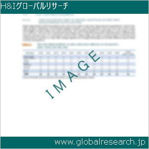 グローバルリサーチ調査レポートのイメージ